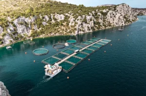 Relier les pays grâce à la coopération régionale