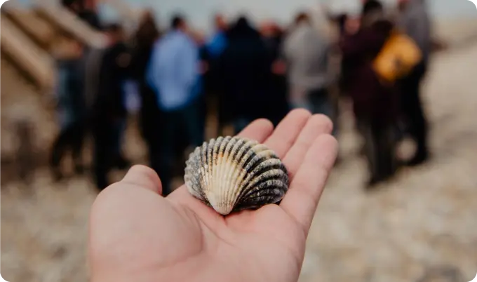 Hand holding sea shell