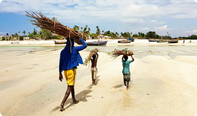 Person and two kids on the beach holding branches on top of their head